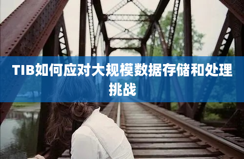 TIB如何应对大规模数据存储和处理挑战