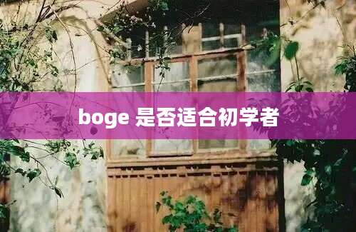 boge 是否适合初学者