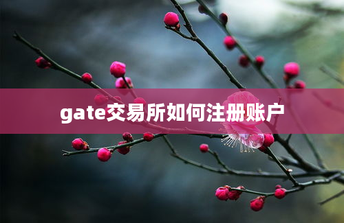 gate交易所如何注册账户