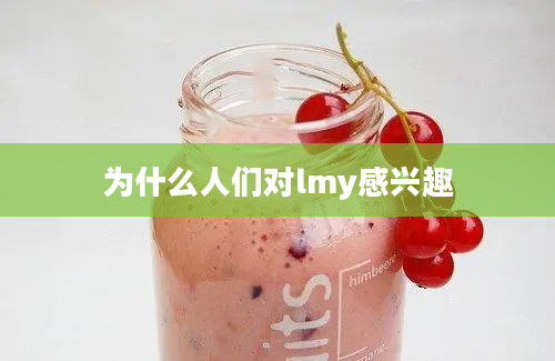 为什么人们对lmy感兴趣