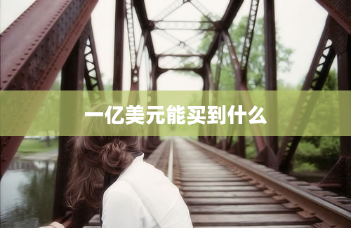 一亿美元能买到什么