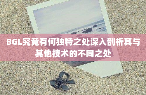 BGL究竟有何独特之处深入剖析其与其他技术的不同之处
